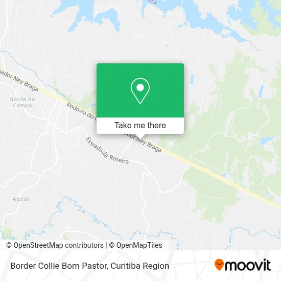 Border Collie Bom Pastor map