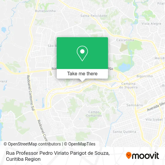 Rua Professor Pedro Viriato Parigot de Souza map