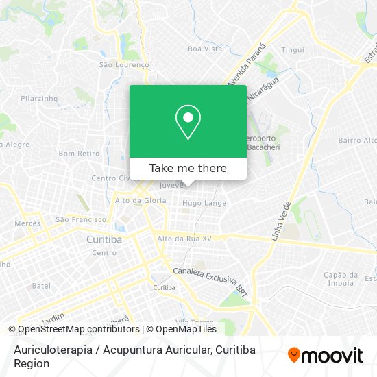 Mapa Auriculoterapia / Acupuntura Auricular