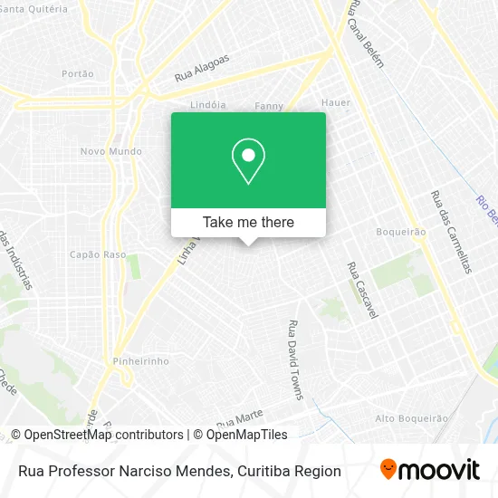 Rua Professor Narciso Mendes map