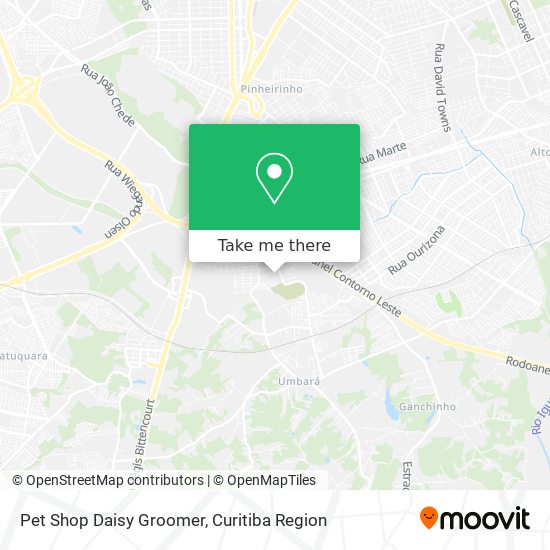 Pet Shop Daisy Groomer map