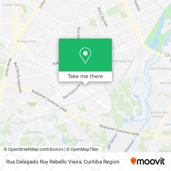 Rua Delegado Ruy Rebello Vieira map