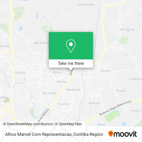 Alhos Marcel Com Representacao map