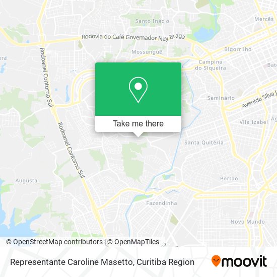 Representante Caroline Masetto map