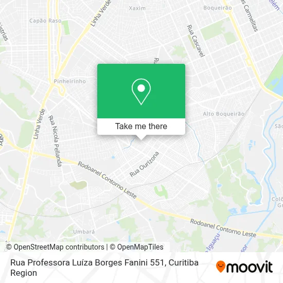 Rua Professora Luíza Borges Fanini 551 map