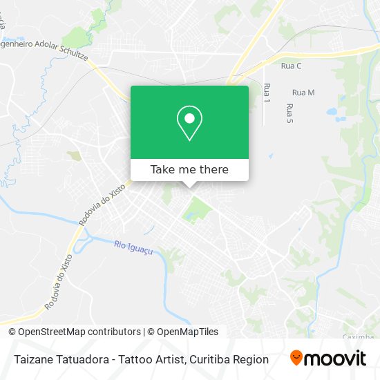 Taizane Tatuadora - Tattoo Artist map