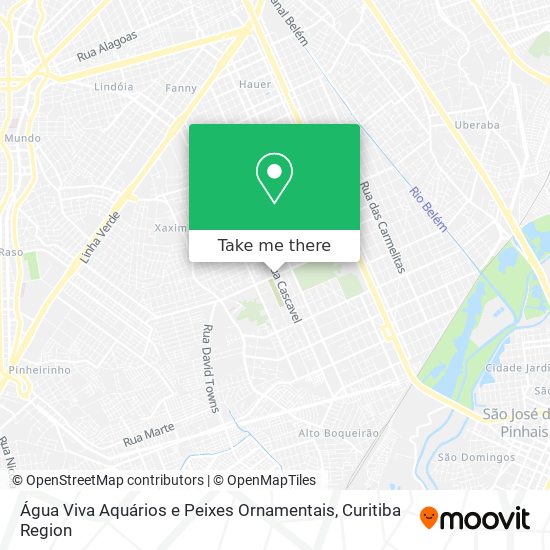 Mapa Água Viva Aquários e Peixes Ornamentais