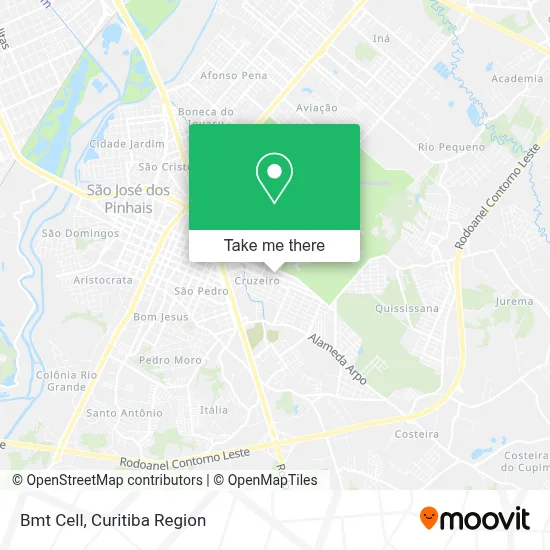 Bmt Cell map