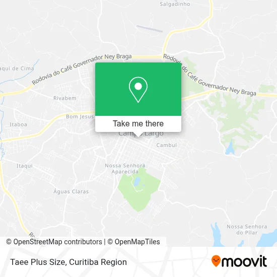 Taee Plus Size map