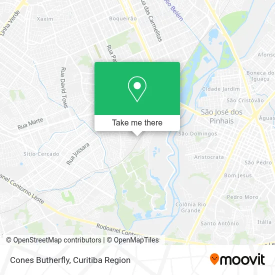 Cones Butherfly map