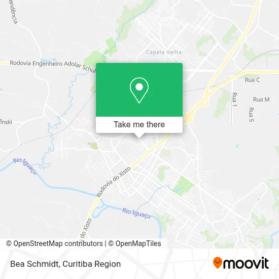 Bea Schmidt map