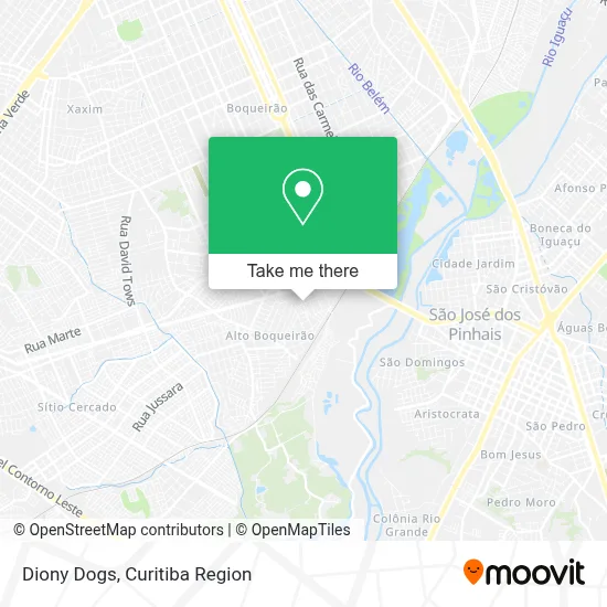 Diony Dogs map
