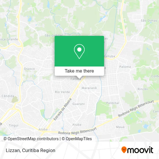 Lizzan map