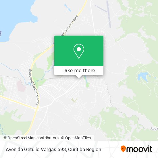 Avenida Getúlio Vargas 593 map