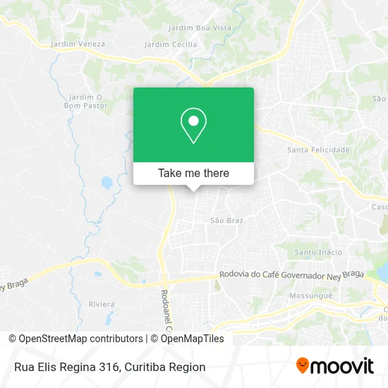 Rua Elis Regina 316 map
