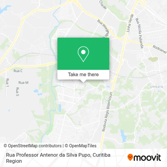 Rua Professor Antenor da Silva Pupo map