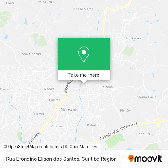 Rua Erondino Elison dos Santos map