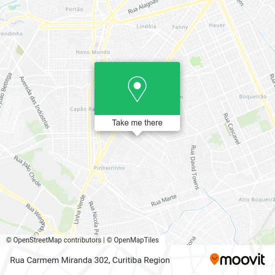 Rua Carmem Miranda 302 map