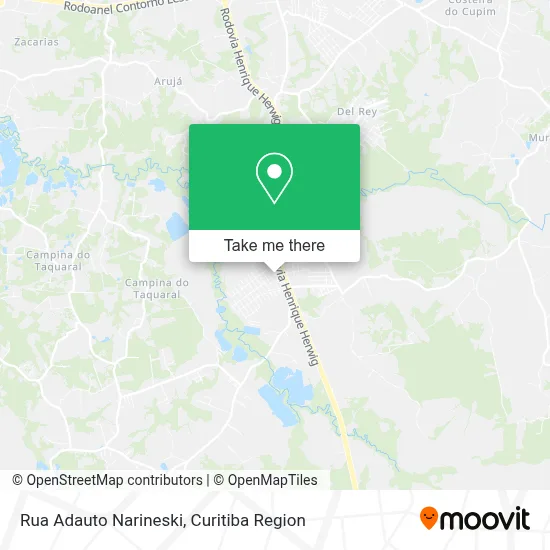 Rua Adauto Narineski map
