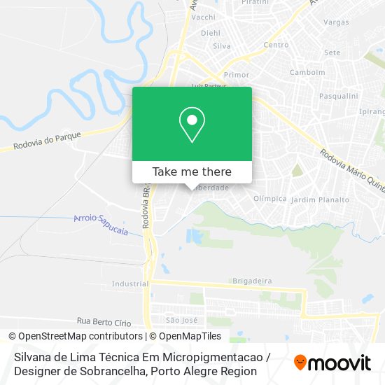 Mapa Silvana de Lima Técnica Em Micropigmentacao / Designer de Sobrancelha