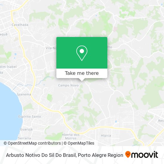 Arbusto Notivo Do Sil Do Brasil map