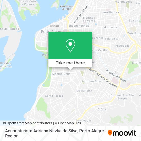 Mapa Acupunturista Adriana Nitzke da Silva