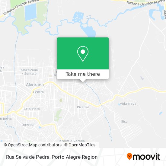 Rua Selva de Pedra map