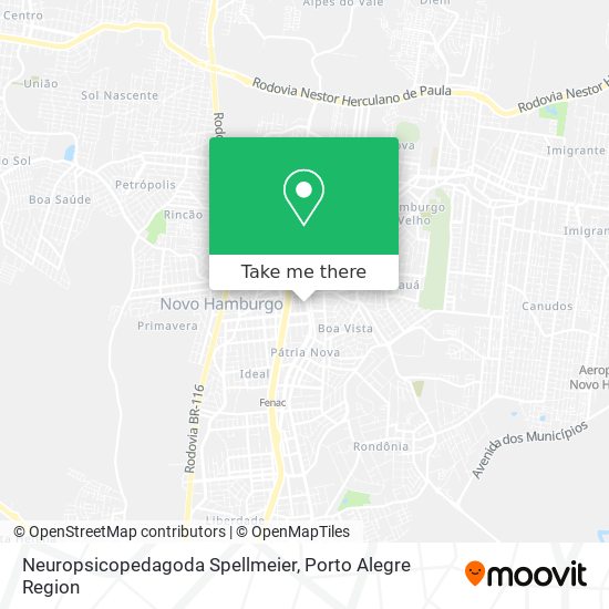 Neuropsicopedagoda Spellmeier map
