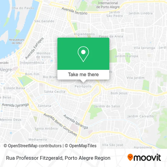 Rua Professor Fitzgerald map