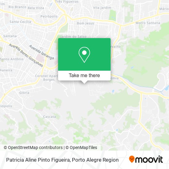 Patricia Aline Pinto Figueira map