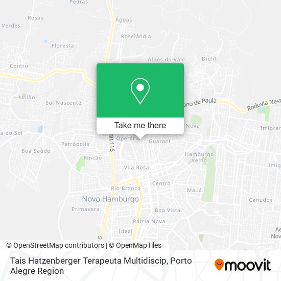 Mapa Tais Hatzenberger Terapeuta Multidiscip