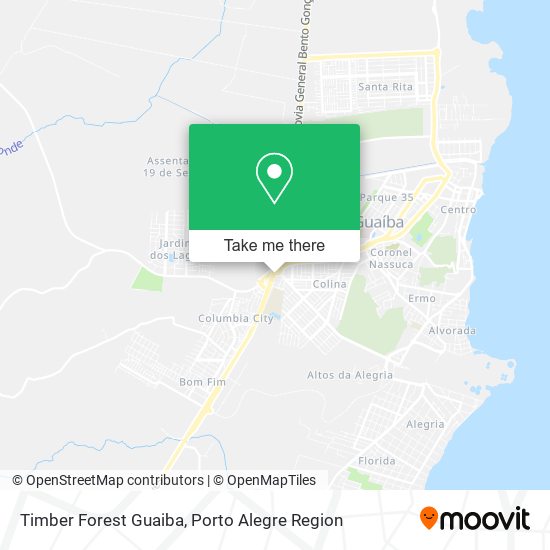 Timber Forest Guaiba map