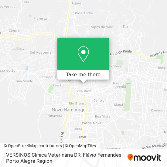 VERSINOS Clinica Veterinária DR. Flávio Fernandes map