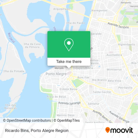 Ricardo Bins map