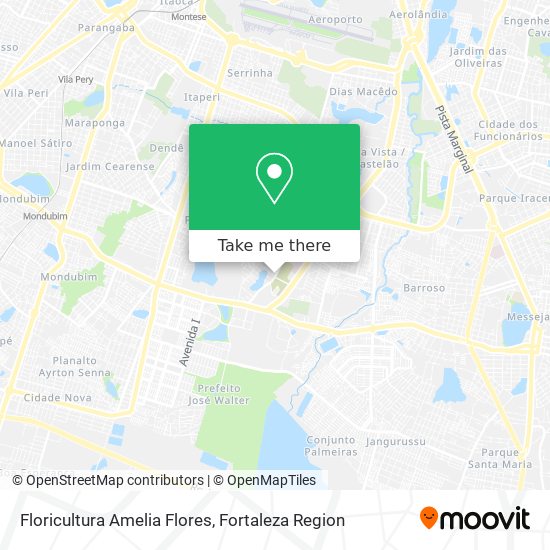 Floricultura Amelia Flores map