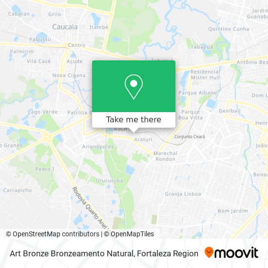 Art Bronze Bronzeamento Natural map
