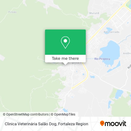 Clinica Veterinária Salão Dog map
