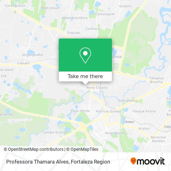 Professora Thamara Alves map