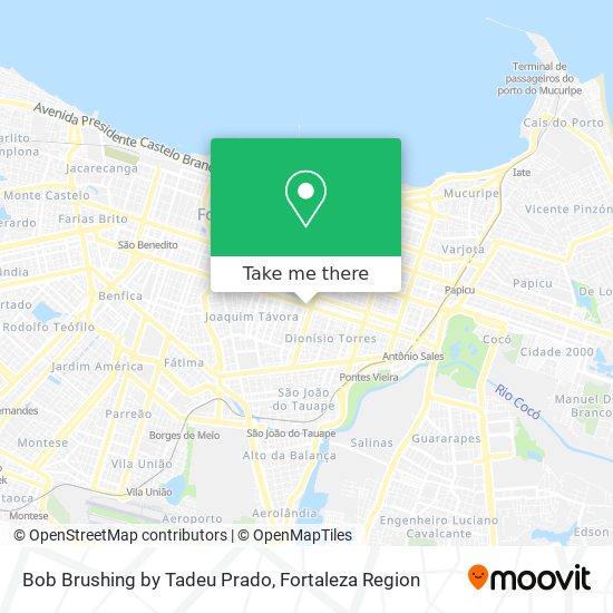 Mapa Bob Brushing by Tadeu Prado