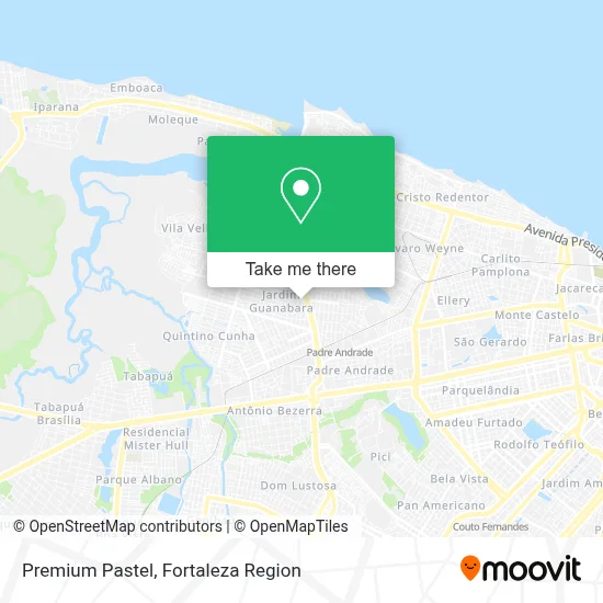 Premium Pastel map
