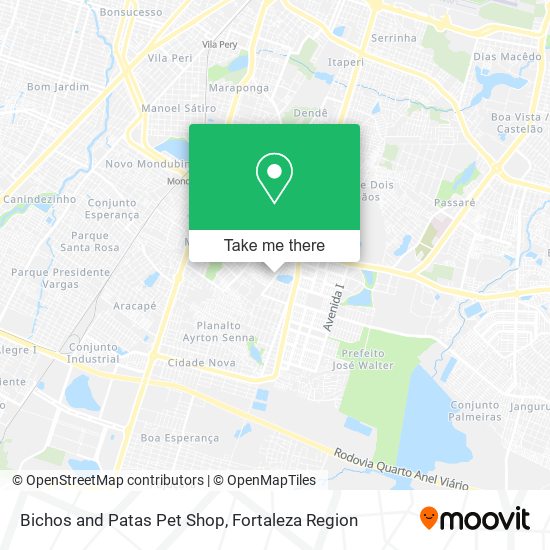 Bichos and Patas Pet Shop map