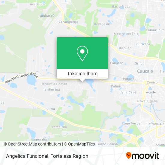 Angelica Funcional map