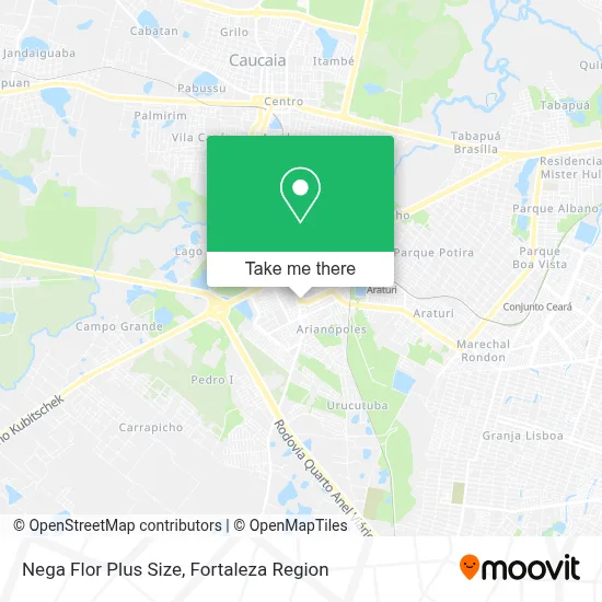 Nega Flor Plus Size map