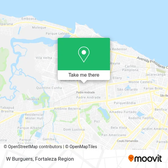 W Burguers map