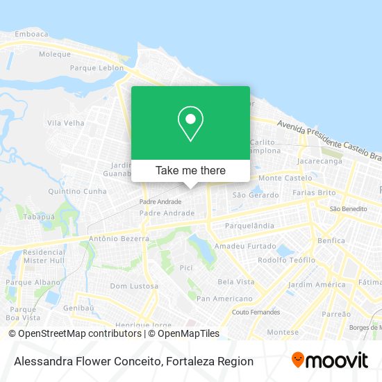 Alessandra Flower Conceito map