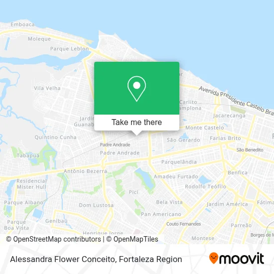 Alessandra Flower Conceito map