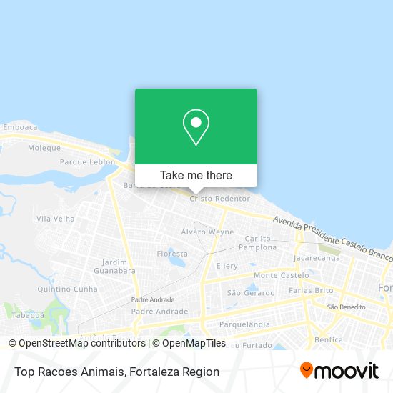 Top Racoes Animais map