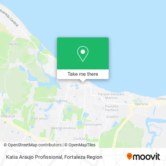 Katia Araujo Profissional map