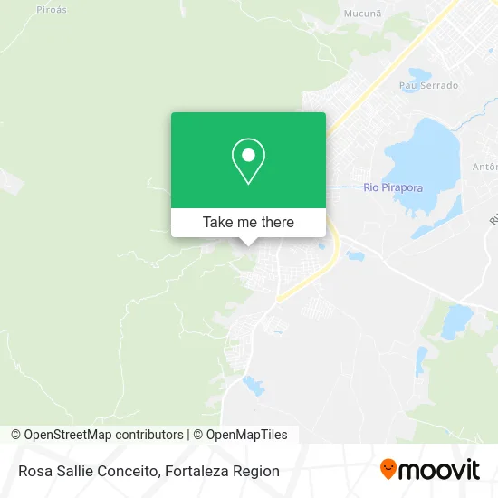 Rosa Sallie Conceito map