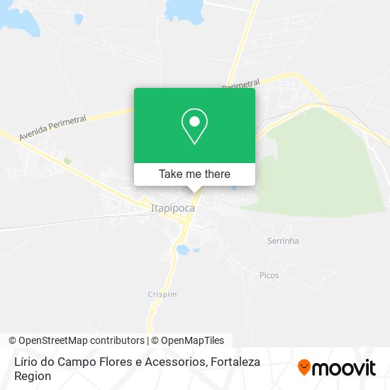 Lírio do Campo Flores e Acessorios map